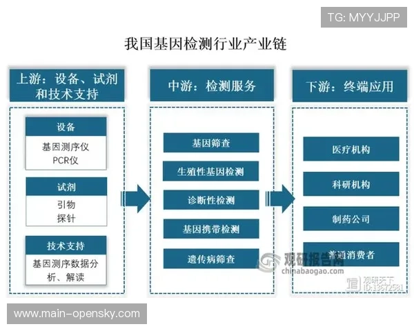 数据质量管理体系完善 确保分析结果可靠性
